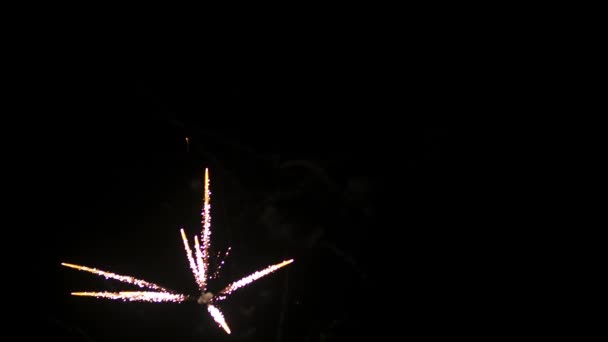 Kembang api di awal tahun baru. Dalam malam hitam — Stok Video