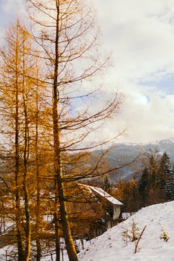 Sunset 'te Dağların ve Ormanların Kış Manzarası