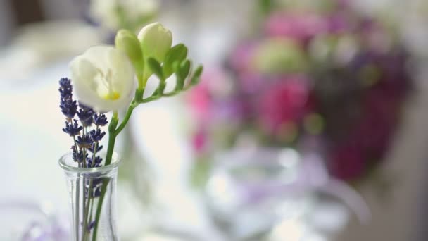 Lüks dekore edilmiş masa düğün resepsiyonu — Stok video