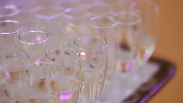 Champagne. molti flauti di champagne con champagne frizzante — Video Stock