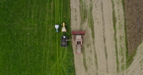 Agriculture Harvester Harvesting Field Aerial View — Stock Video