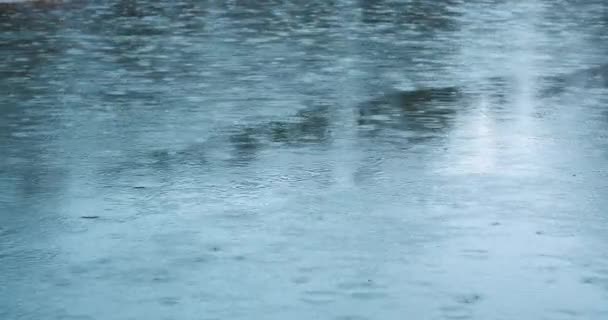 Pioggia pesante che piove su una superficie dell'acqua — Video Stock