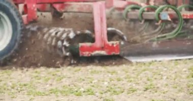 Kasaba meydanında ekmek yiyen güvercin sürüsü..
