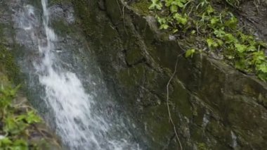 Alyanslar Açık Konteynırda