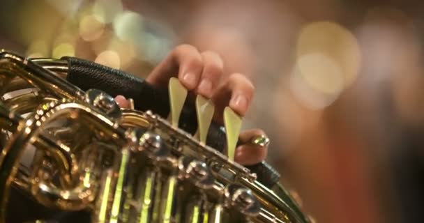 Músico tocando cuerno francés durante el concierto — Vídeos de Stock