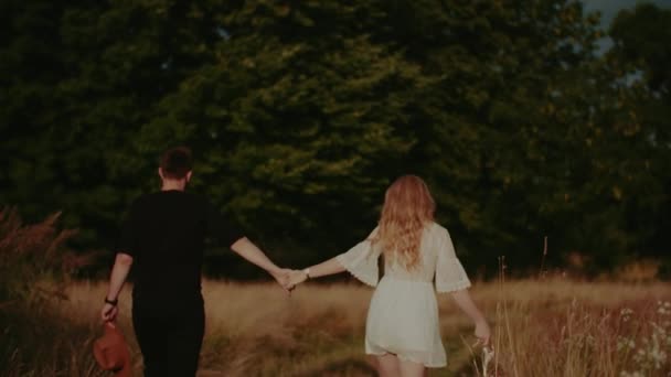 Positif Happy Couple Walk Outdoors in Summer — Stok Video