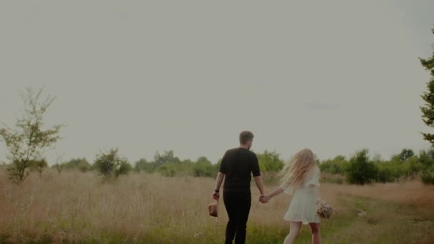 Hombre y mujer sosteniendo las manos y caminando al aire libre en verano — Vídeos de Stock