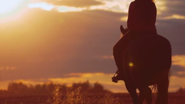 junge Frau reitet Pferd auf Ranch