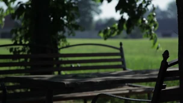 Bench - Stock footage — Stock Video