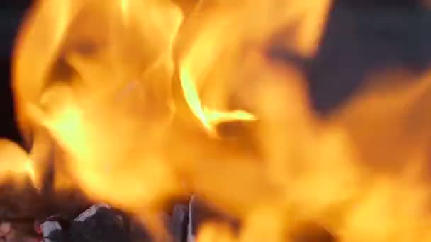 Fire - Stock footage — Stockvideo