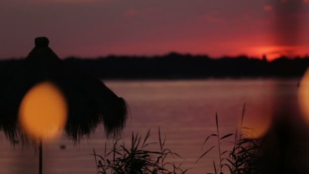 Motoscafo in movimento sul lago durante il tramonto — Video Stock