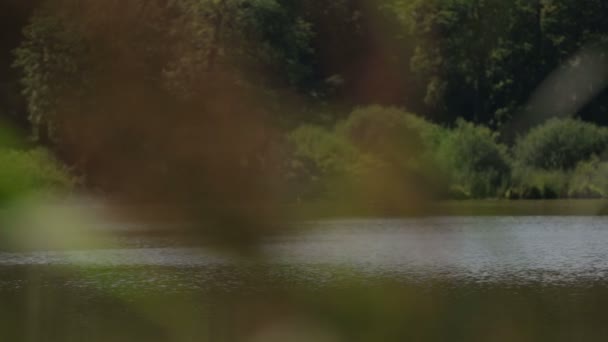 Idyllisch uitzicht op lake tijdens zonnige dag. — Stockvideo