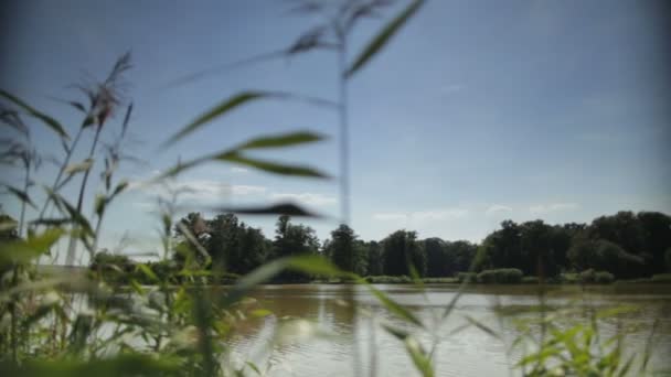 Vista idilliaca del lago durante la giornata di sole . — Video Stock