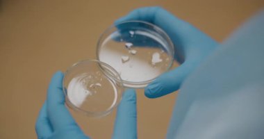 Close-up of a female scientist examining Petri dishes in a laboratory setting, focused on detailed analysis.
