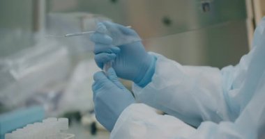 Close-up of a lab technicians hands performing a specialized test, collecting a bacteria sample in a laboratory room.