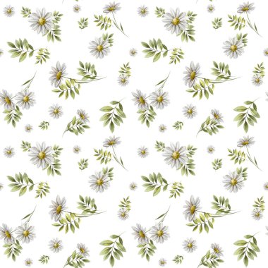 Kusursuz botanik desen ve papatya çiçekleri ve yaprakları ile illüstrasyon
