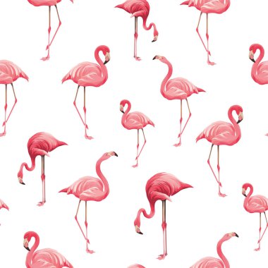 Flamingolarda kusursuz desen. Kuşlarla modern arkaplan