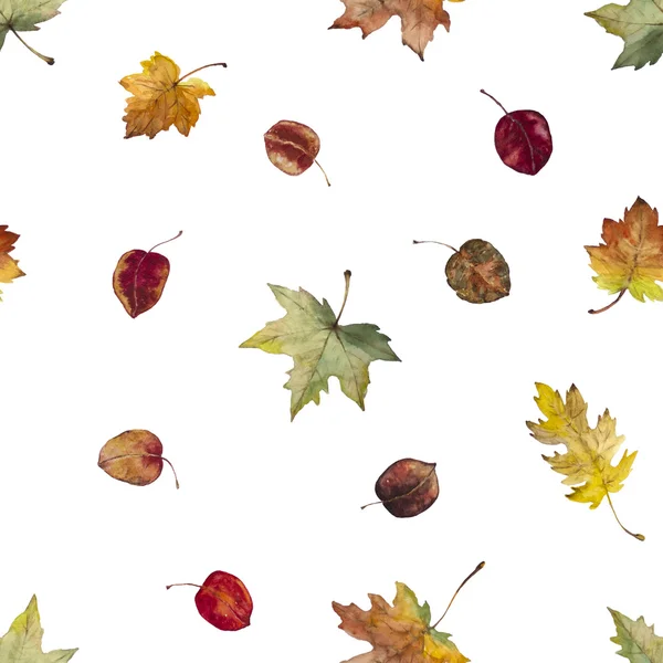 Sulu sonbahar yapraklı kusursuz desen