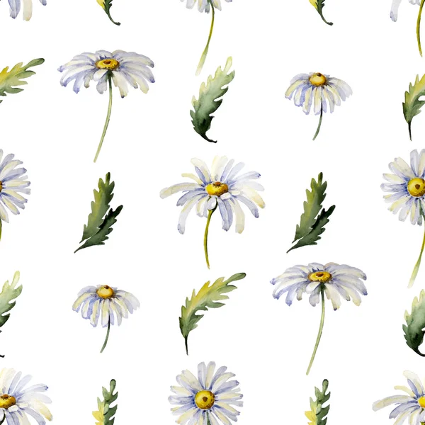 Suluboya papatya ile kusursuz desen