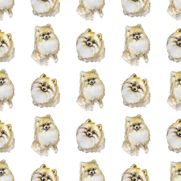 Suluboya spitz ile Seamless Modeli