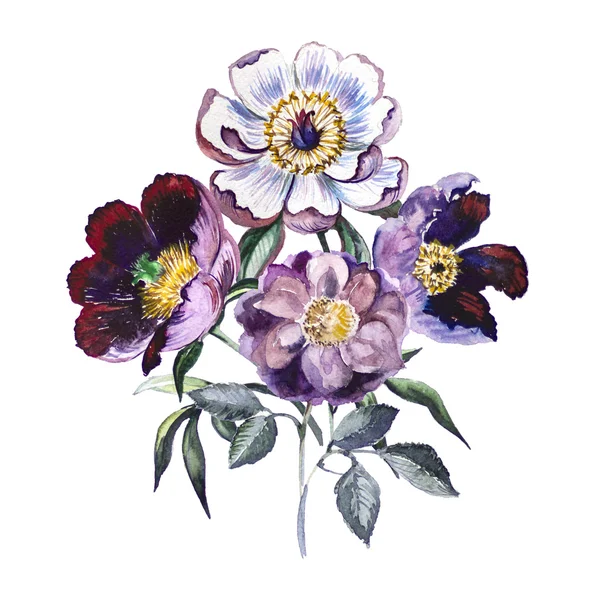 Suluboya bordo buket