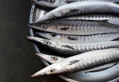 Çelik tepside balık, Tayland pazarında deniz balığı, baraküda (Sphyraenidae)