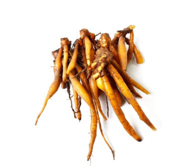 Beyaz arka planda izole edilmiş Galingale veya Boesenbergia rotunda, baharatlı sebzeler ve otlar sağlık için iyidir.