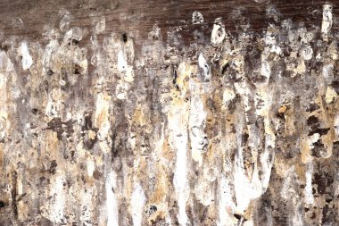 Kahverengi yüzeye damlayan sarı ve siyah lekeli beyaz, metin veya grafik tasarım için soyut arkaplan ve doku