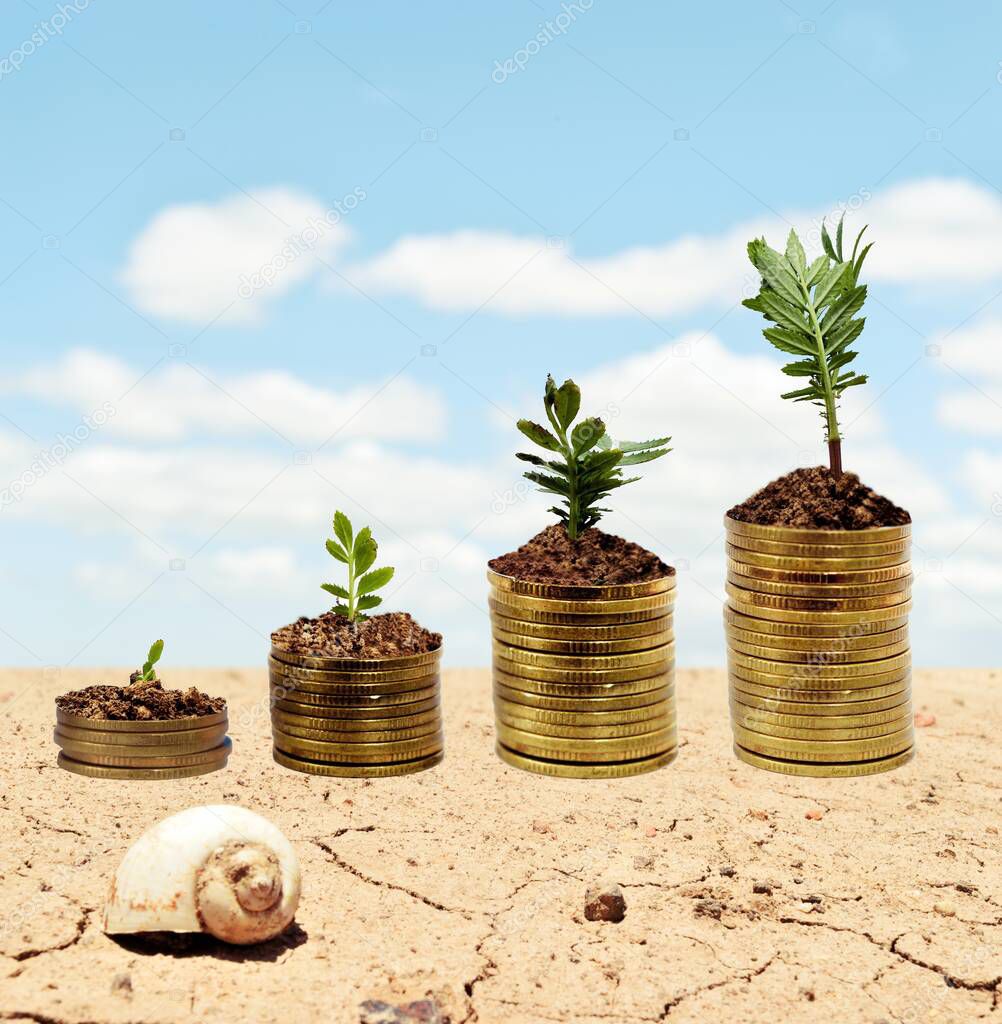 Tree growing in golden coin, Plant money on the ground cracked with blue sky and white cloud in background, Four - pile coins in a graph pattern soared, Growth by amount of savings, Financial concept