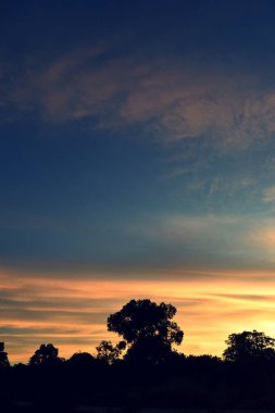 Gün batımında güzel mavi gökyüzü olan ağaçların silueti, fotograflar geri - ufuktaki ışık mor ve pembe bulutlarla turuncuya dönmeye başladı