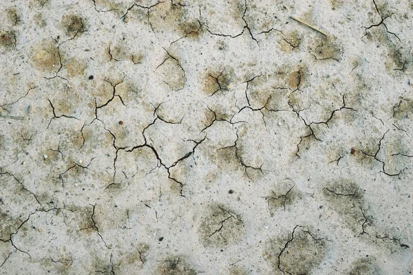 Crack Brown Stains Gray Surface Crack Dirt Land Abstract Background — Stok Foto