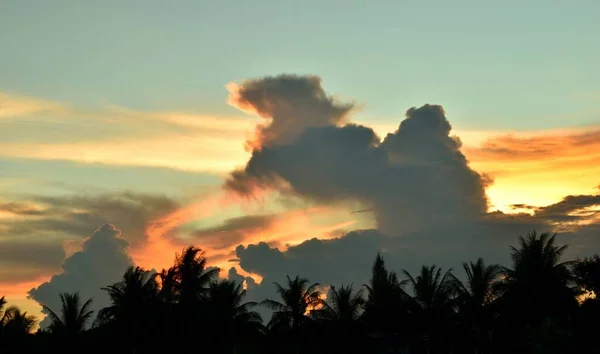 夕阳西下之前 椰子树的轮廓和美丽的蓝天 照片的背面 地平线上的光线 带着紫色和乌黑的云彩 变得橙色 — 图库照片