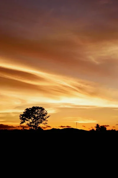 夕阳西下 美丽的金色天空映衬着树木的轮廓 地平线上的光带着紫色和粉色的云彩开始变成橙色 — 图库照片