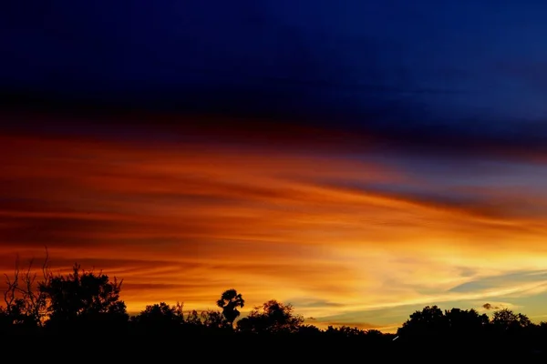 夕阳西下 美丽的蓝天映衬着树木的轮廓 地平线上的光带着紫色和粉色的云彩开始变成橙色 — 图库照片