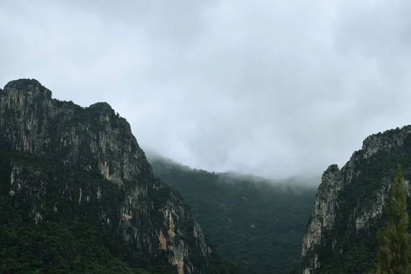 Wolk Mist Bedekken Kalksteen Berg Het Regenseizoen Groen Bos Rots — Stockfoto