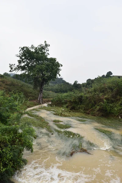 Arroyo Amarillo Bosque Verde Agua Turbia Tailandia — Foto de Stock