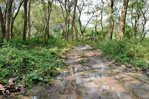 Solo Líquido Bagunça Rotas Transporte Estação Chuvosa Estrada Terra Úmida — Fotografia de Stock