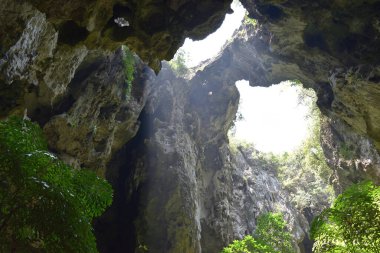 Doğal taş köprü, Phraya Nakhon Mağarası 'nın tepesindeki oyuktan çıkan ağaç, Khao Sam Roi Yot Ulusal Parkı, Tayland