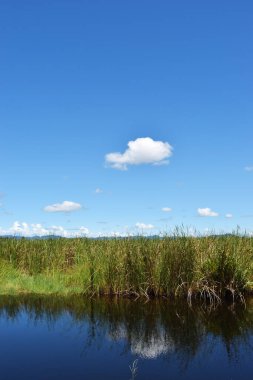 Beyaz Cumulus bulutu ve arka planda mavi gökyüzü, sakin su yüzeyinde doğanın yansıması...
