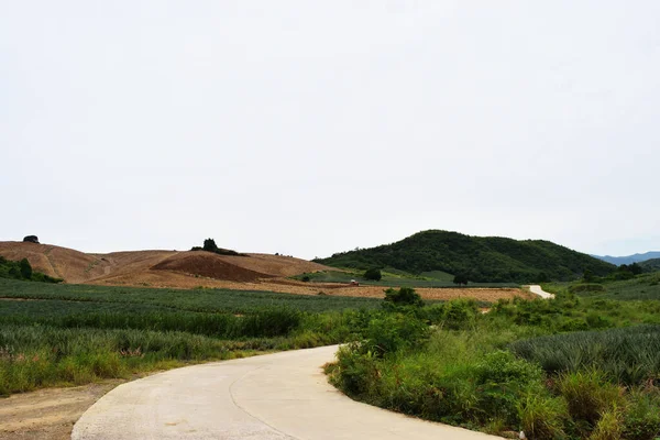 Mountain Trees Were Pulled Tractor Plow Dirt Land Hill Agriculture — Stock Photo, Image