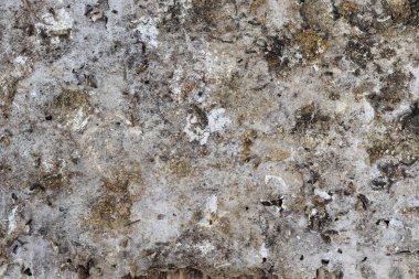 Beyaz ve siyah renk çizgisi olan kahverengi leke gri yüzey üzerinde çatlaklar ve pürüzlülük, metin veya grafik tasarım için soyut arkaplan ve doku 