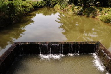 Çek barajındaki kuduz su, Tayland 'daki sızıntıya akıyor.