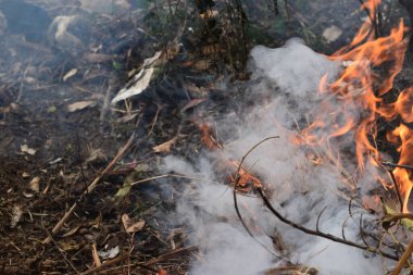 Yanan çubuklardan çıkan gri ve siyah dumanlı turuncu renkli ateş, yanan hava kirleten şenlik ateşi, yakacak odun ve çöp yanıyor.
