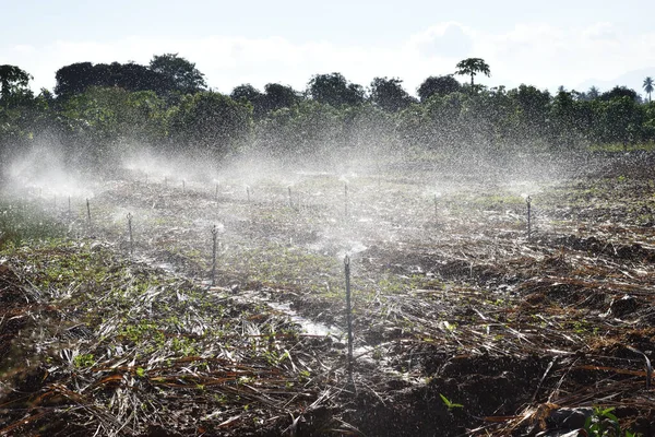Gruppe Von Rotierenden Sprinklern Die Wasser Bauernhof Und Pflanzgebiet Versprühen — Stockfoto
