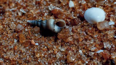 Hint Okyanusu eserleri makro stilde