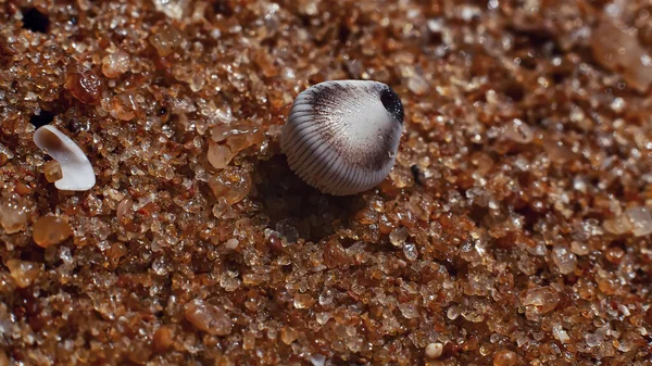 Hint Okyanusu eserleri makro stilde