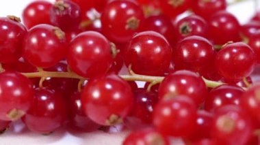 Beyaz masada kırmızı frenk üzümü 