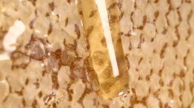 Tatlı tatlı bal, bal peteklerini emiyor.