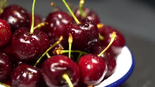 Baya Cereza Roja Oscura Húmeda — Vídeos de Stock