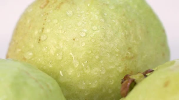 Våt Exotisk Grön Guava Panorering — Stockvideo